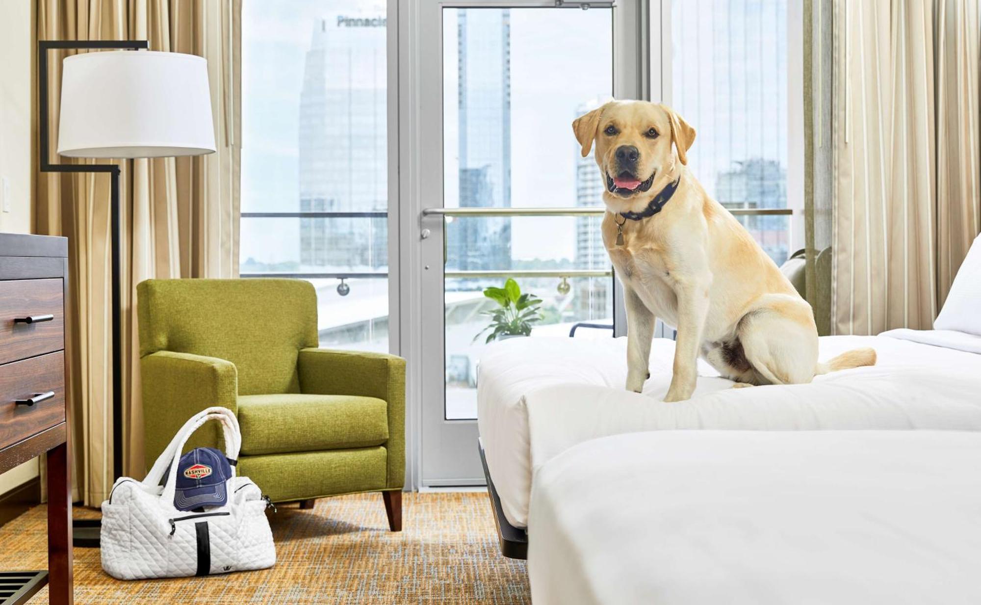 Hotel Embassy By Hilton Downtown Nashville